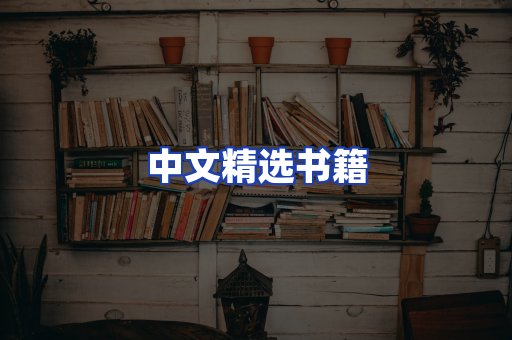 中文精选书籍